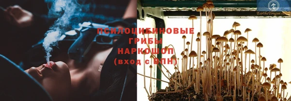 гидропоника Нея