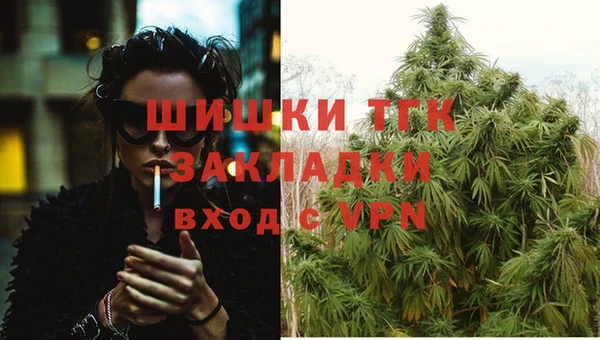 твердый Домодедово