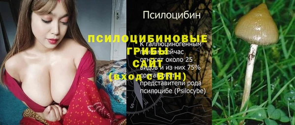 гидропоника Нея