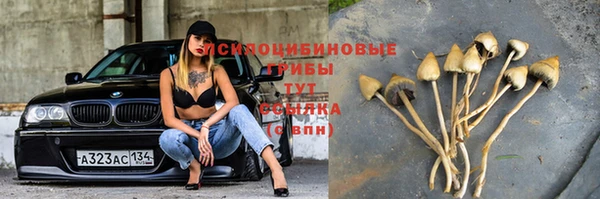 стафф Нефтегорск