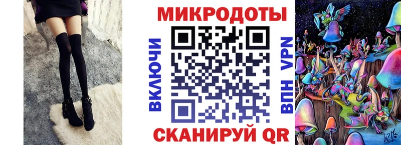 Галлюциногенные грибы Psilocybe  купить наркоту  Ессентуки 