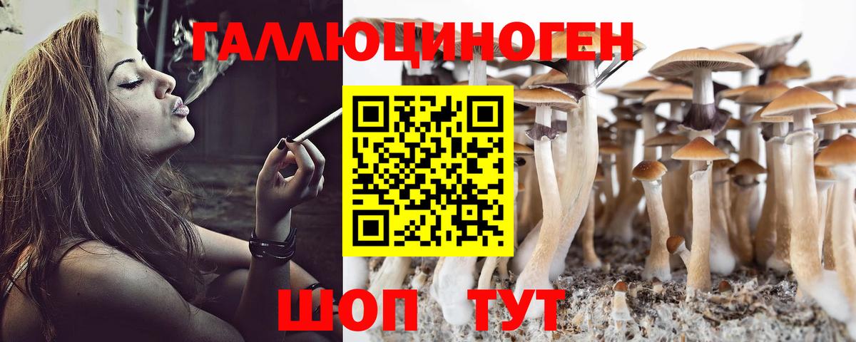 как найти закладки  Галлюциногенные грибы прущие грибы  Вход с VPN  Ессентуки 