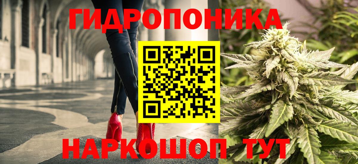 Бошки Шишки гибрид Ессентуки
